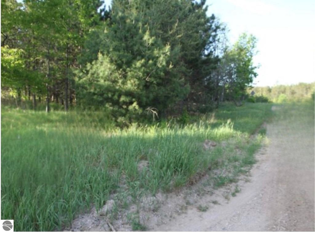 Image 15 of property listing at 40 acres Cedar Creek Road, Fife Lake, MI 49633