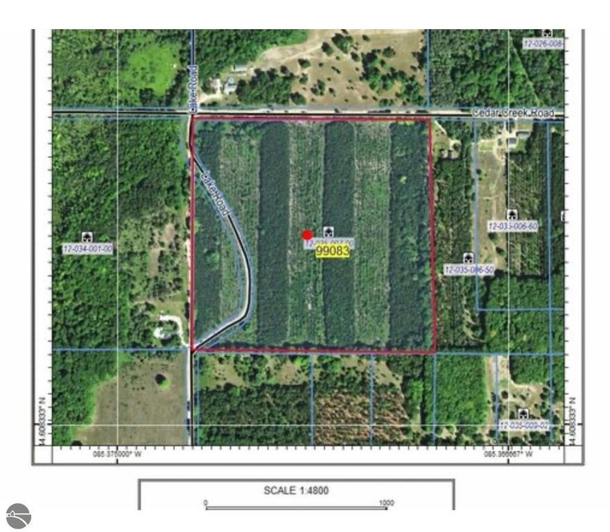 Image 16 of property listing at 40 acres Cedar Creek Road, Fife Lake, MI 49633