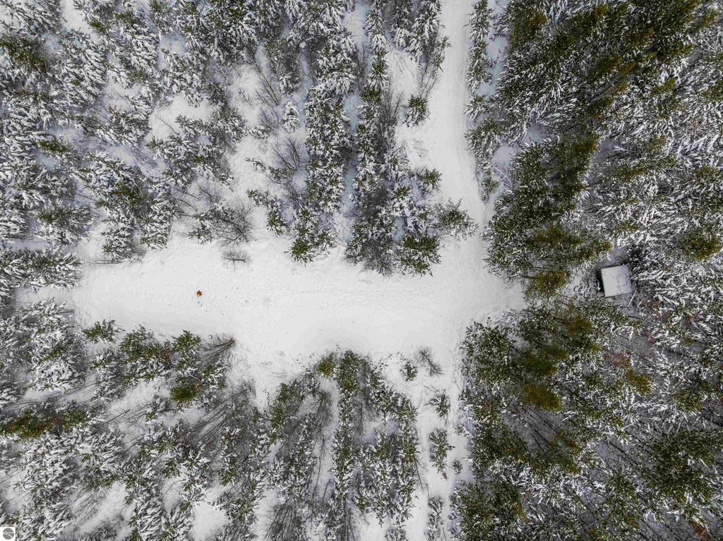 Image 5 of property listing at 40 acres Cedar Creek Road, Fife Lake, MI 49633