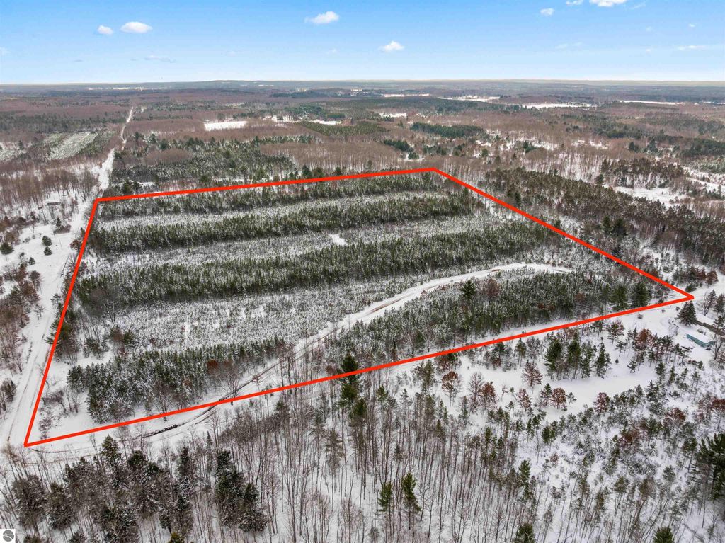 Image 6 of property listing at 40 acres Cedar Creek Road, Fife Lake, MI 49633