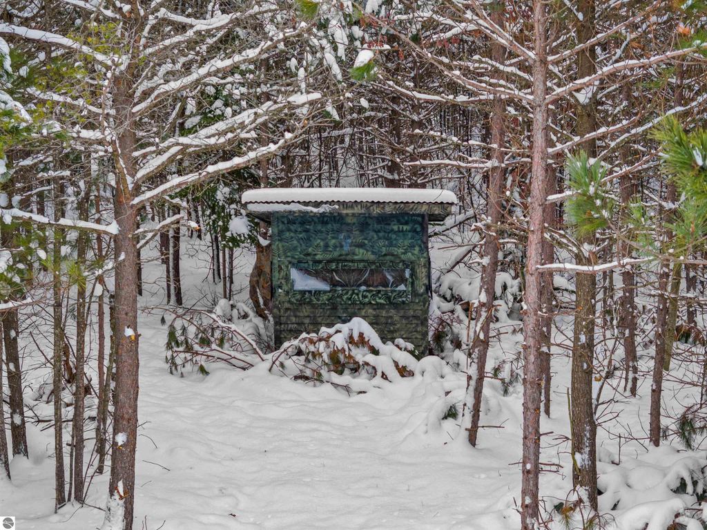 Image 9 of property listing at 40 acres Cedar Creek Road, Fife Lake, MI 49633