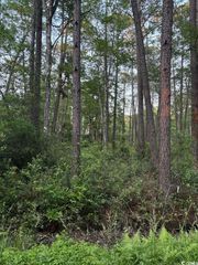 3 Thicketwood Dr., Calabash, NC 28467
