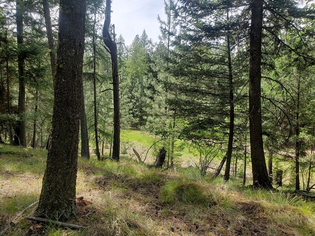 Image 4 of property listing at 19425 Pond Road, Frenchtown, MT 59834
