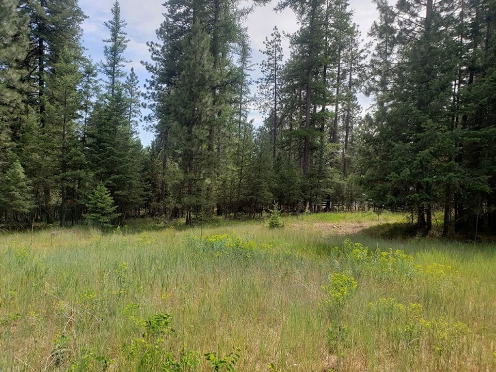Image 5 of property listing at 19425 Pond Road, Frenchtown, MT 59834