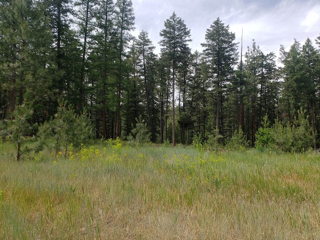 Image 7 of property listing at 19425 Pond Road, Frenchtown, MT 59834