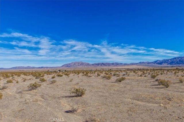 127 Waylyn, 29 Palms, CA 92277
