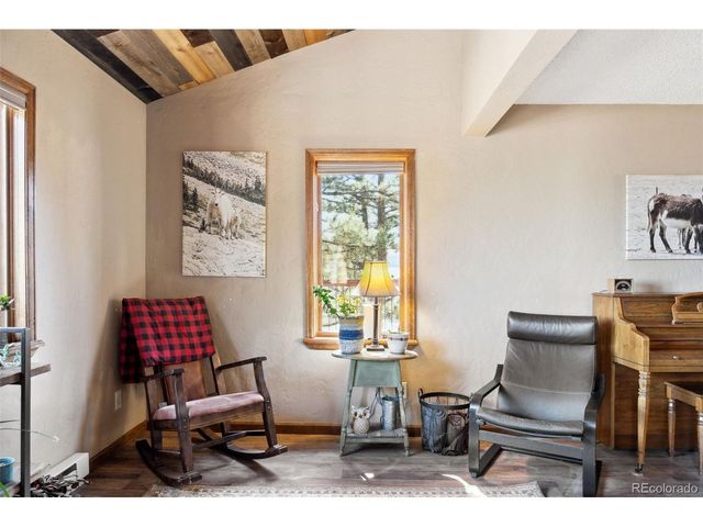 96 County Road 7, Fairplay, CO 80440