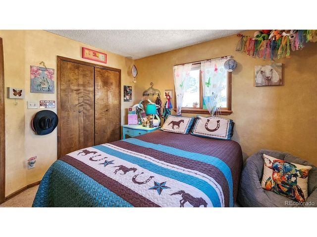 96 County Road 7, Fairplay, CO 80440