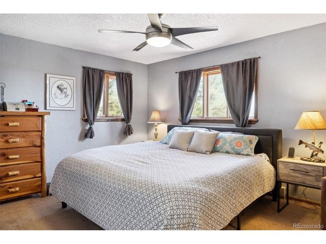 96 County Road 7, Fairplay, CO 80440