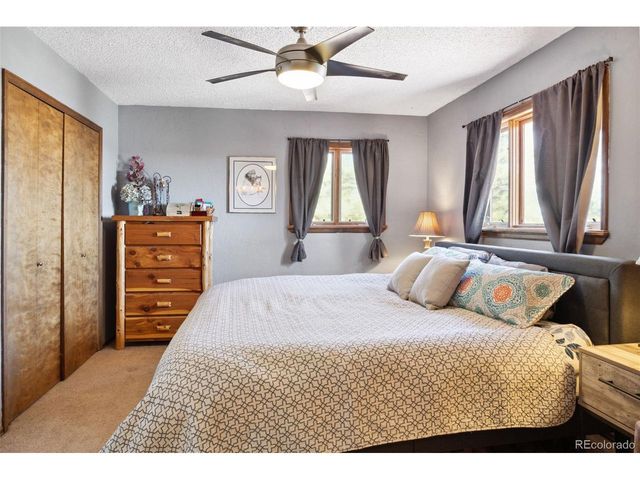 96 County Road 7, Fairplay, CO 80440