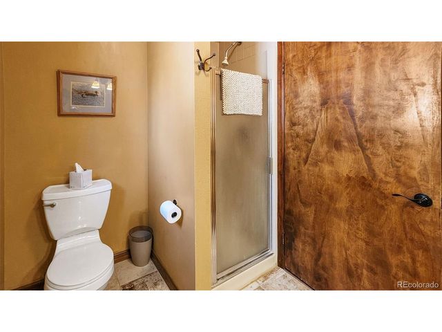 96 County Road 7, Fairplay, CO 80440