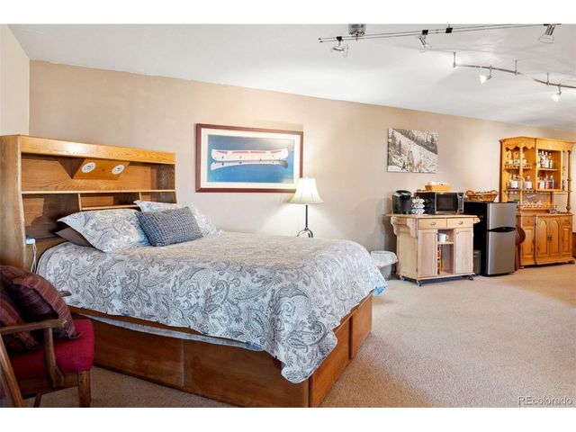 96 County Road 7, Fairplay, CO 80440