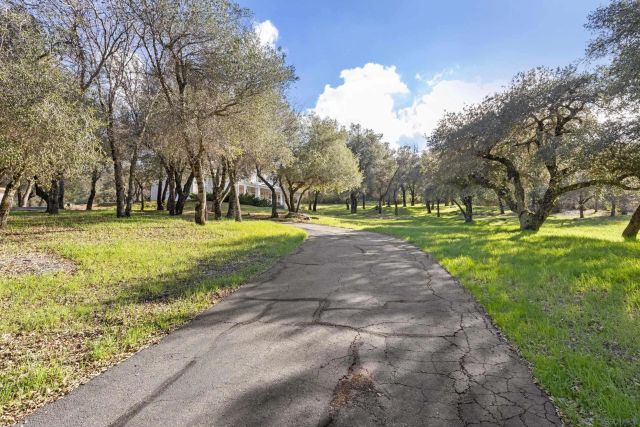 3591 Deer Lake Park Rd, Julian, CA 92036