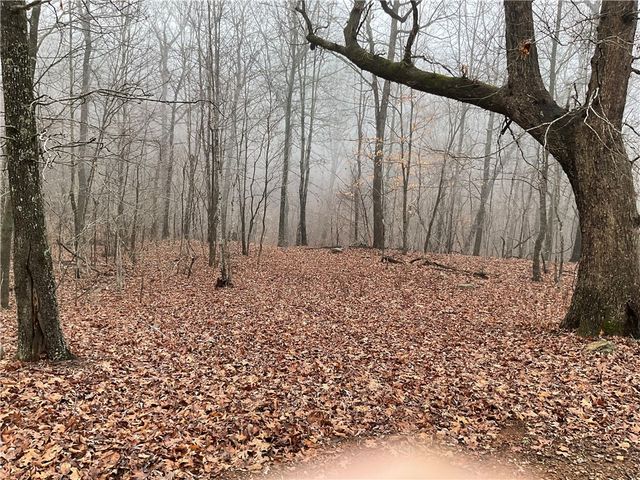 27960 S Hwy 103, Compton, AR 72624