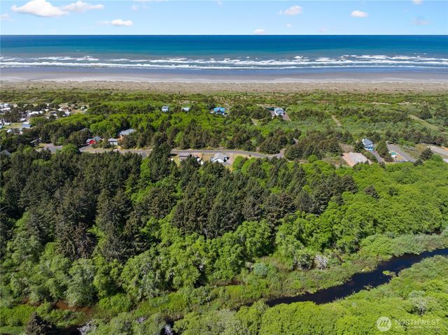 163 Ocean Boulevard, Ocean City, WA 98569