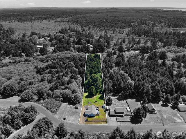 163 Ocean Boulevard, Ocean City, WA 98569