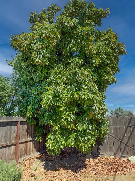 Image 33 of property listing at 738 N Garden Avenue, Fresno, CA 93727