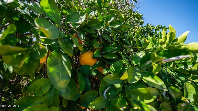 4421 W DAILEY Street, Glendale, AZ 85306