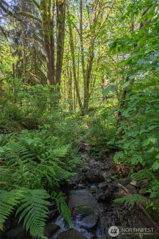 8574 Mount Baker Highway, Deming, WA 98244
