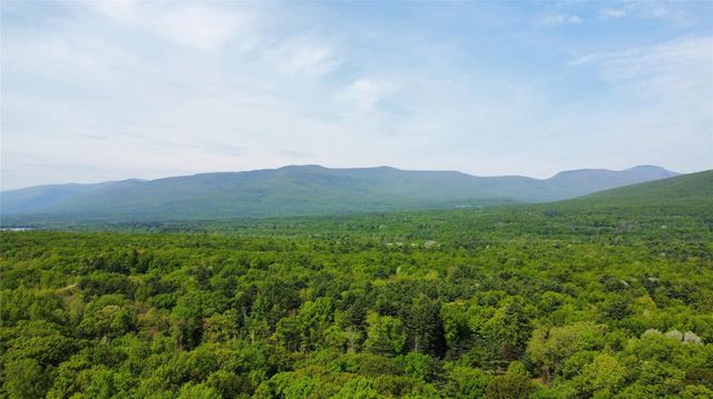 382 Cairo Junction Cairo Junction Road, Catskill, NY 12414
