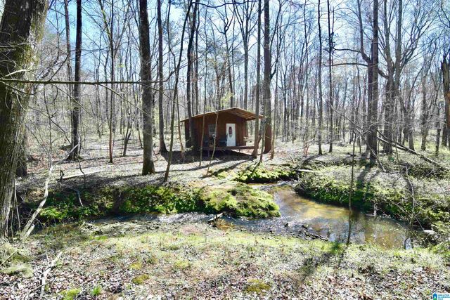 544 PROPHECY LANE, Springville, AL 35146