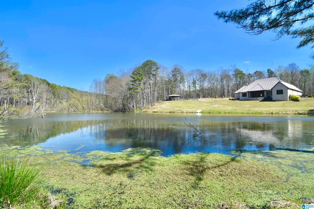 544 PROPHECY LANE, Springville, AL 35146