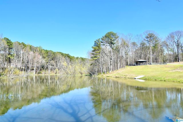 544 PROPHECY LANE, Springville, AL 35146