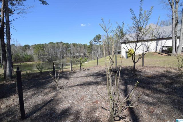 544 PROPHECY LANE, Springville, AL 35146