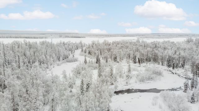 69001 S Greys Creek Circle, Willow, AK 99688