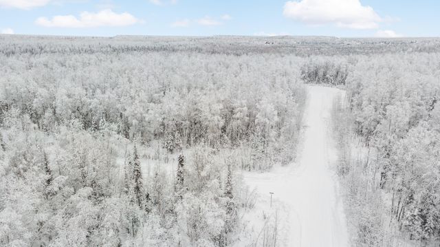 69001 S Greys Creek Circle, Willow, AK 99688