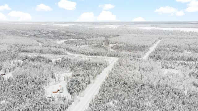 69001 S Greys Creek Circle, Willow, AK 99688