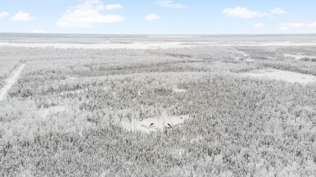 69001 S Greys Creek Circle, Willow, AK 99688