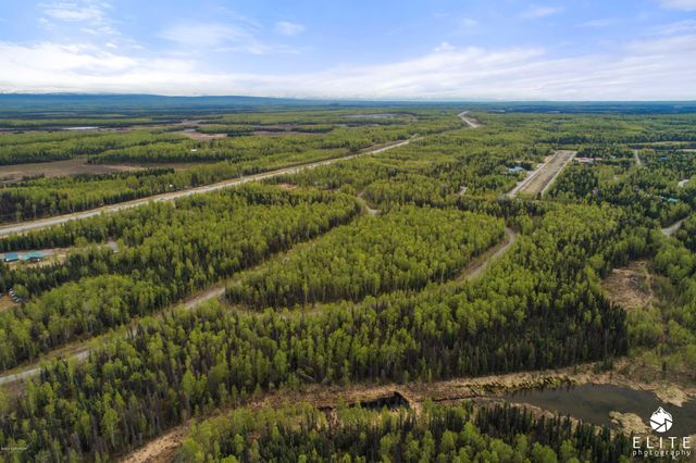 69001 S Greys Creek Circle, Willow, AK 99688