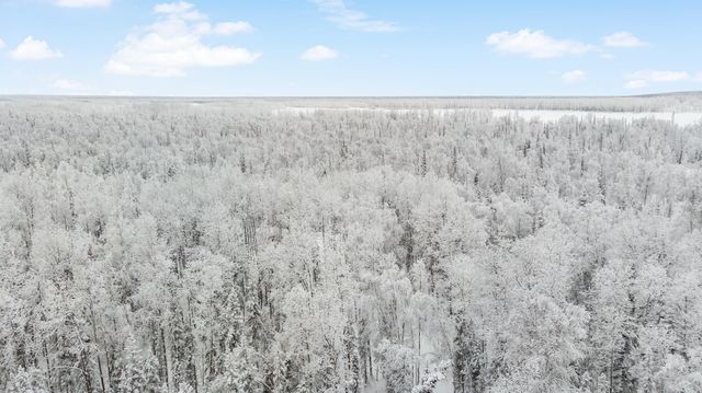 69001 S Greys Creek Circle, Willow, AK 99688