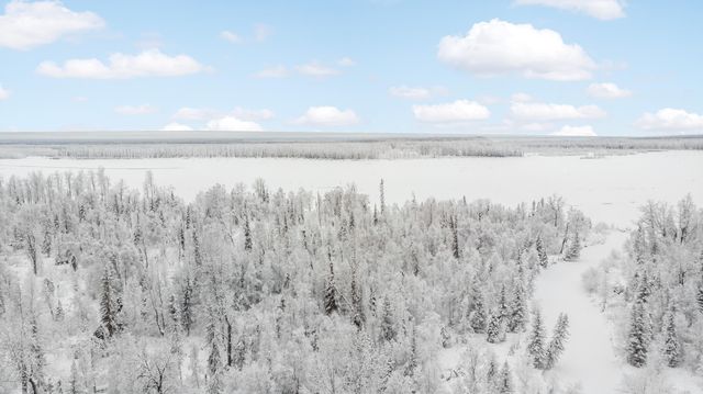 69001 S Greys Creek Circle, Willow, AK 99688