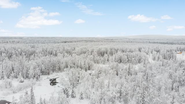 69001 S Greys Creek Circle, Willow, AK 99688