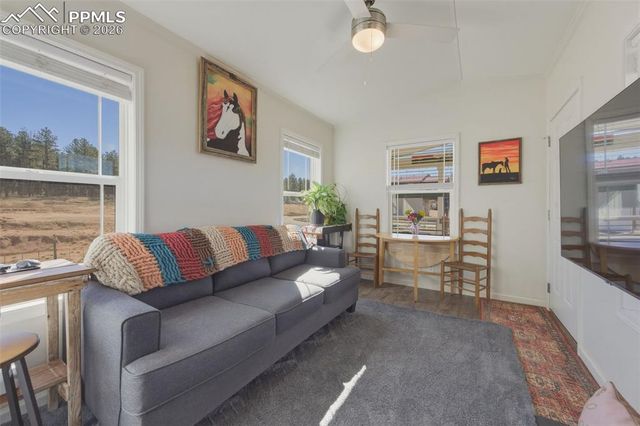 1311 Calm Mountain Point, Woodland Park, CO 80863