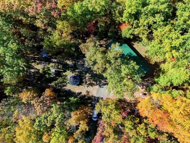 5745 Carpenter Road, Whittemore, MI 48770