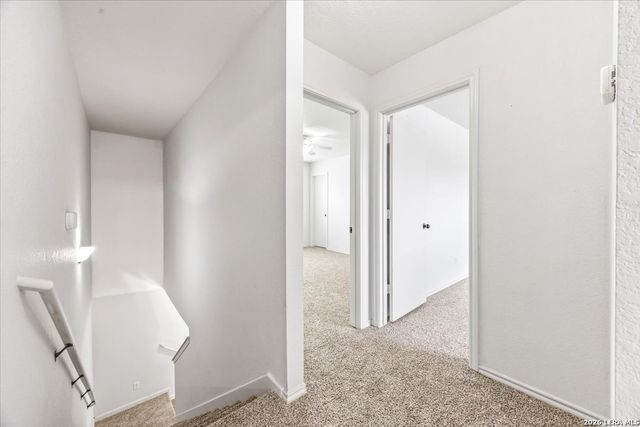7927 Horse Holw, San Antonio, TX 78244