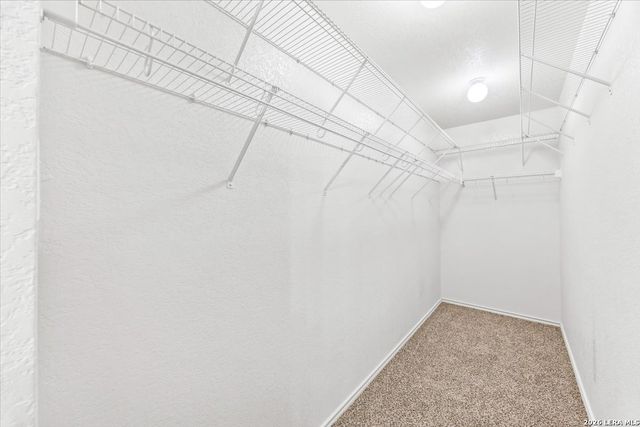 7927 Horse Holw, San Antonio, TX 78244