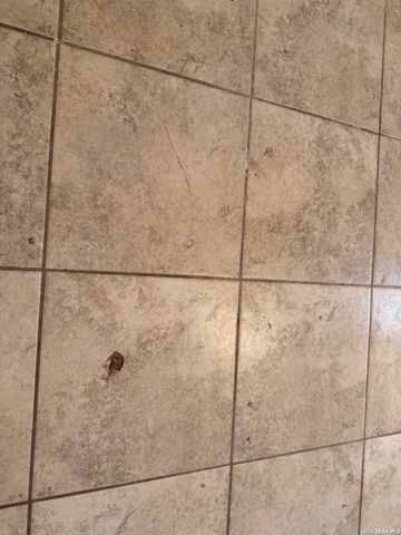 7226 LANSBURY DR, San Antonio, TX 78250