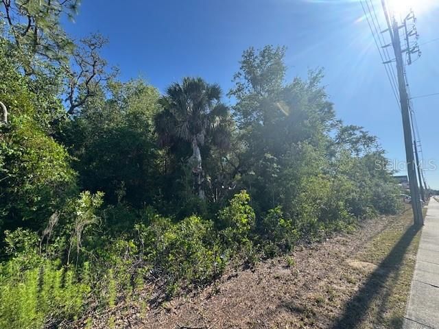 10331 STATE ROAD 52, Hudson, FL 34669