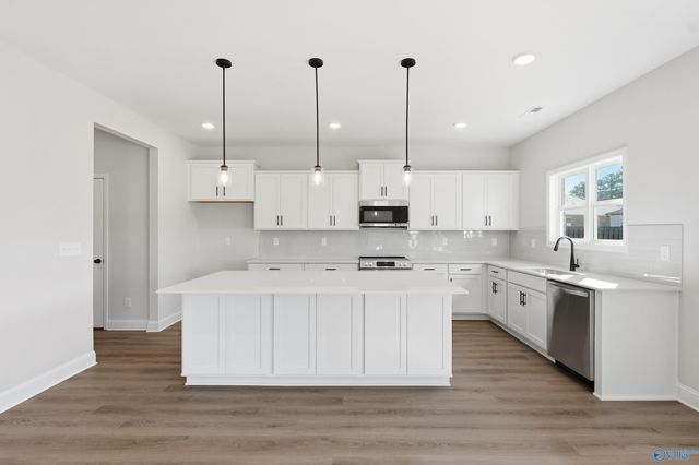 29525 Crawfish Drive, Harvest, AL 35749