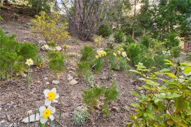 197 Massive Road, Lake Arrowhead, CA 92317