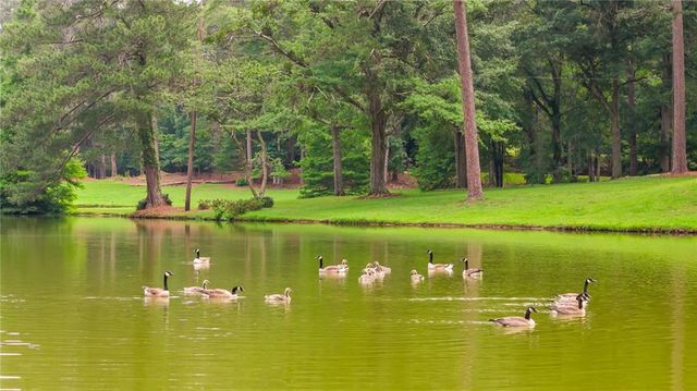 0 Capps Ferry Road, Chattahoochee Hills, GA 30268