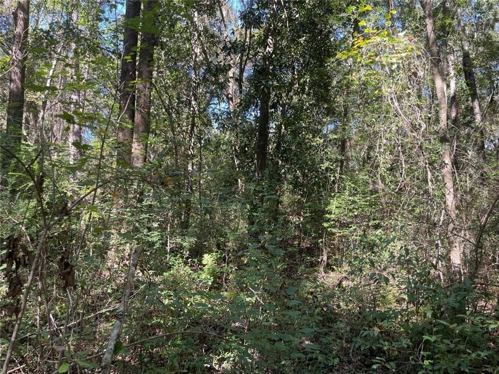 0 Riley Street, Mobile, AL 36608 — photo 2