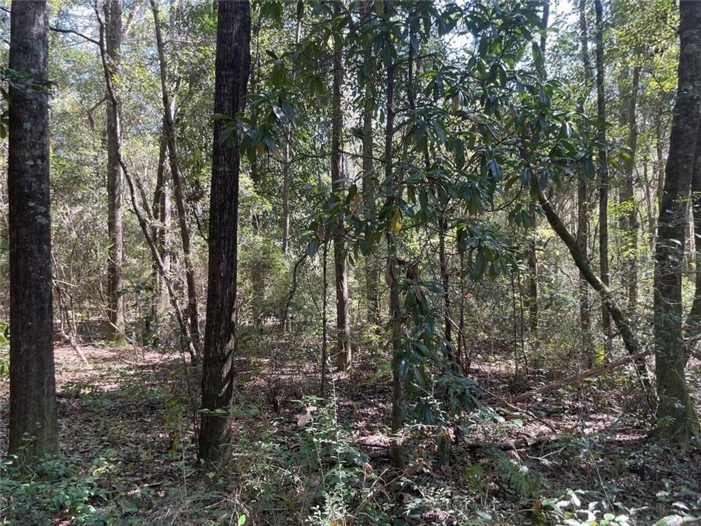0 Riley Street, Mobile, AL 36608 — photo 3