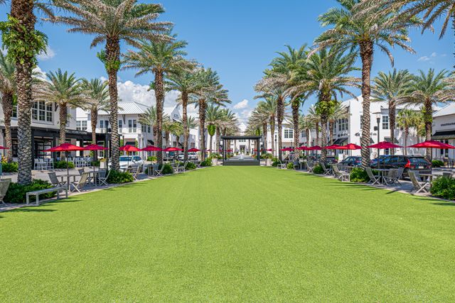 135 Grayling Way, Inlet Beach, FL 32461