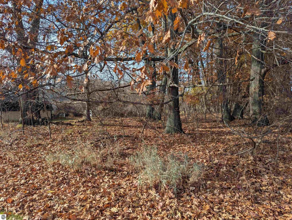 Image 2 of property listing at N/A Point Augres Road, Au Gres, MI 48703