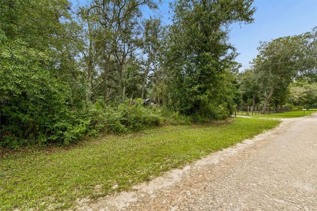 35314 GOETHALS STREET, Webster, FL 33597